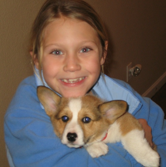 Happiness is a corgi puppy!